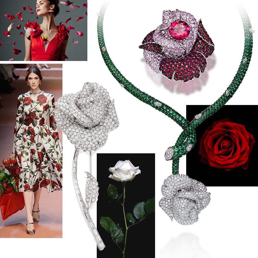 Clockwise from upper left – Fashion Image from Getty Images, PICCHIOTTI Rose Necklace with Tsavorites and Diamonds set in 18K Yellow and White Gold, PICCHIOTTI Rose Ring with Diamonds, Pink Sapphires, Rubies and Rubellite, PICCHIOTTI iconic Rose Brooch, Dolce & Gabbana 