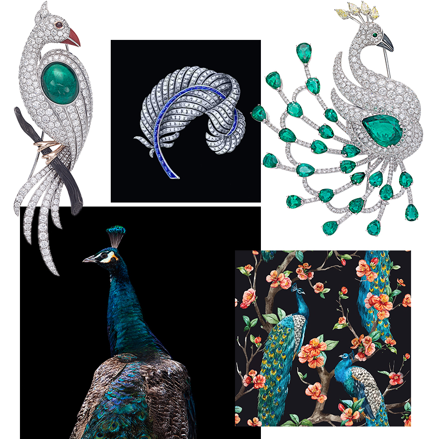 Clockwise from upper left – PICCHIOTTI “Masterpieces” Peacock Brooch in White Diamonds and cabochon Emerald, CAD design of PICCHIOTTI Feather Brooch, PICCHIOTTI “Masterpieces” Full Fan Peacock Brooch with White Diamonds, Pear Shaped Emeralds, Fancy Yellow Diamonds and Hematite, Peacock Art Photography